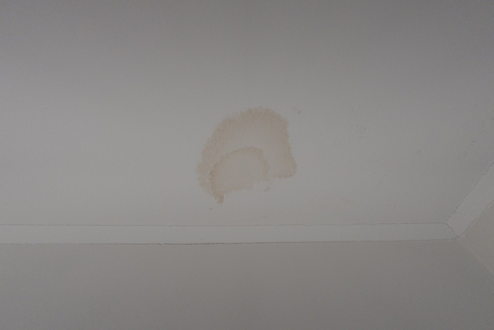 Brown water stain spreading across a ceiling from a roof leak in a Sydney home