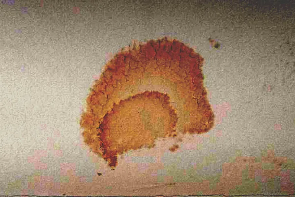 Water stain on a ceiling from a roof leak
